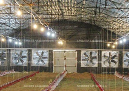 畜牧養(yǎng)殖負(fù)壓排風(fēng)機(jī) 畜牧養(yǎng)殖負(fù)壓排風(fēng)機(jī)